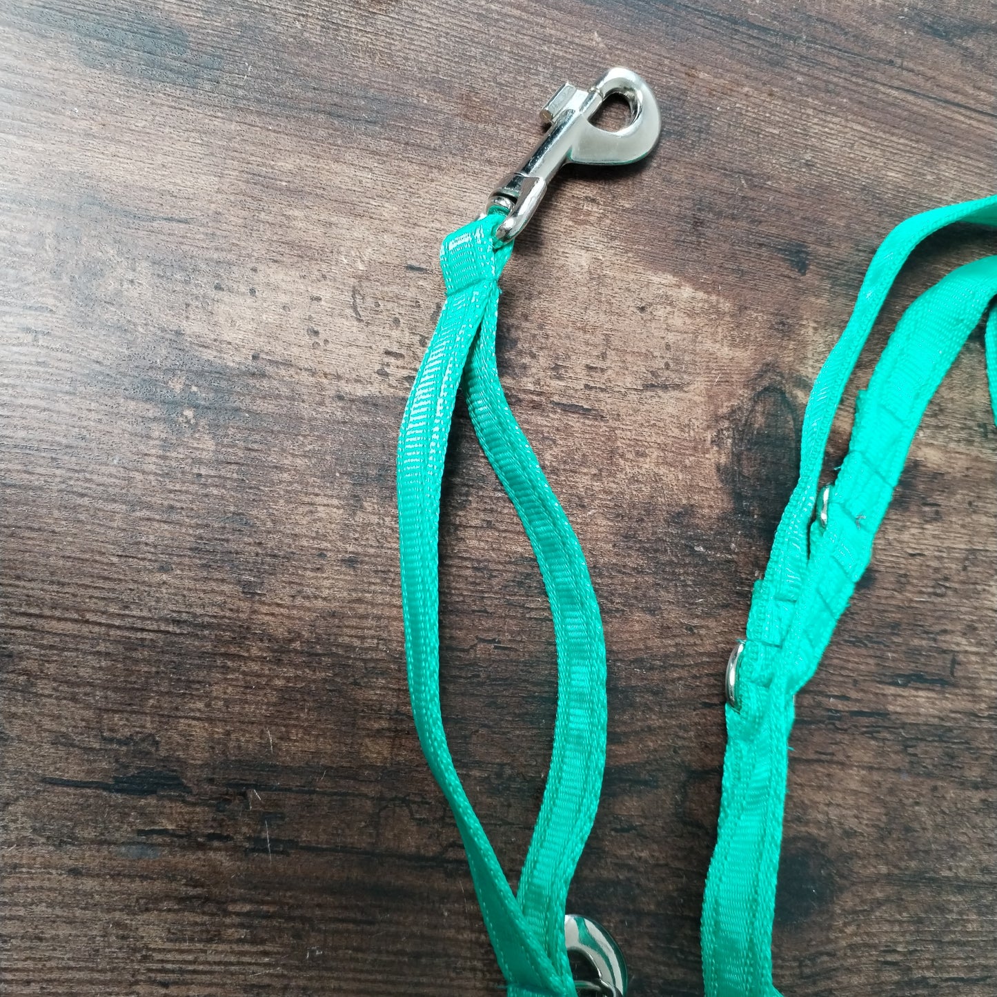 3 meter Green Extra Long Training lead with traffic handle.