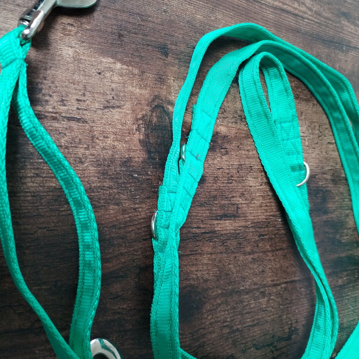 3 meter Green Extra Long Training lead with traffic handle.