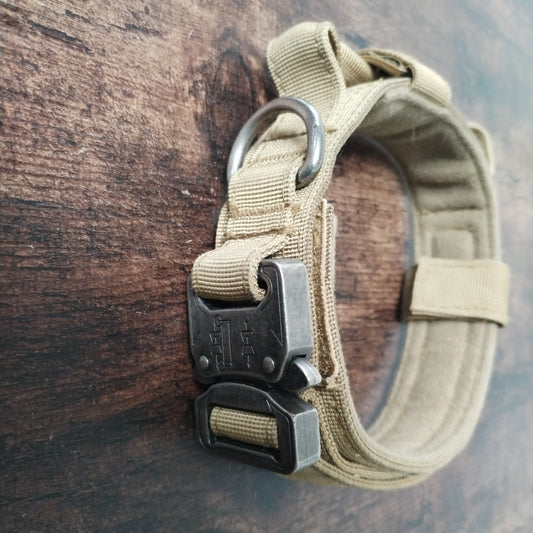 Medium Tactical Dog Collar.