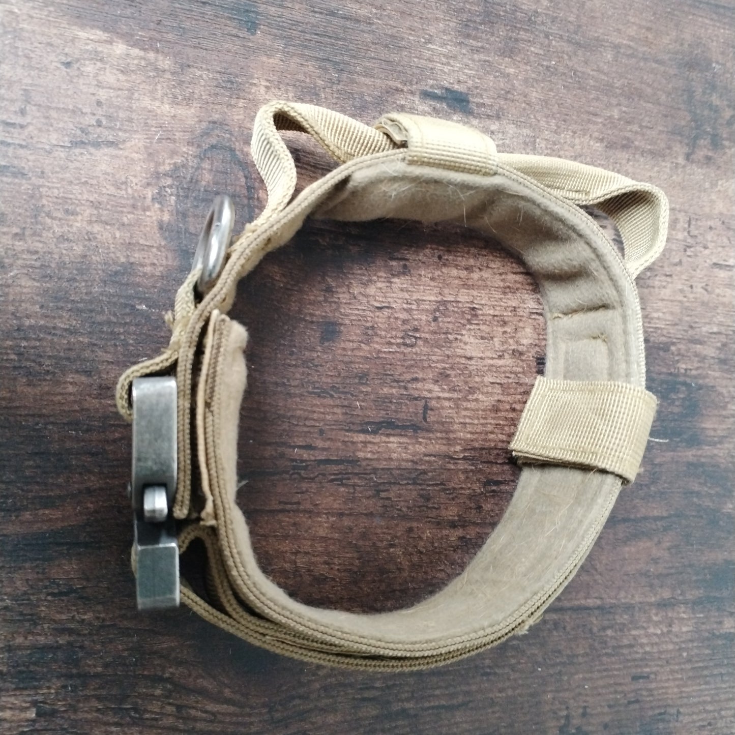 Medium Tactical Dog Collar.