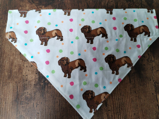 Small Collar Through Sausage Dog Bandana