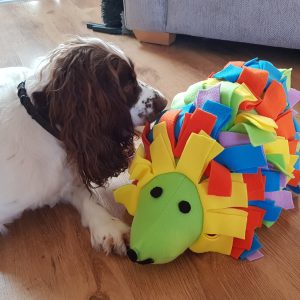 Sniff and Snack Hedgehog